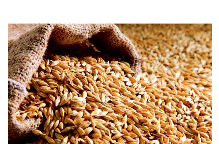 azerbaydzhan-uvelichil-import-pshenitsy-na-37