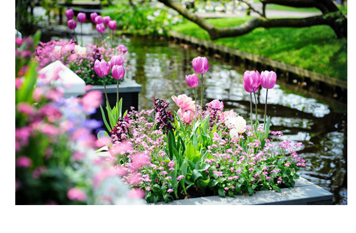 prognoz-pogody-v-azerbaydzhane-na-19032026