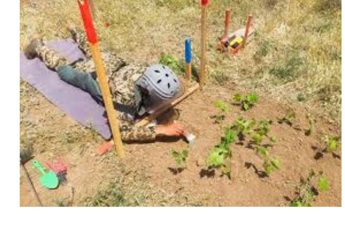 anama-v-fevrale-ot-min-ochishchena-territoriya-ploshchadyu-bolee-4-tys-ga