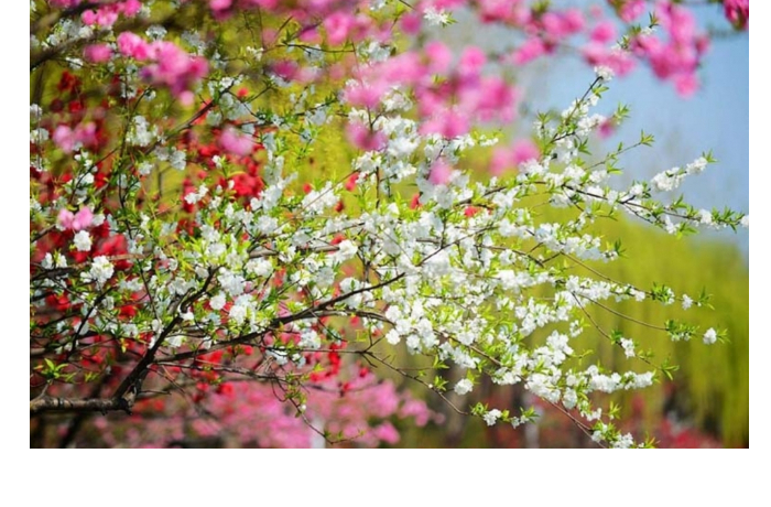 prognoz-pogody-v-azerbaydzhane-na-24032026