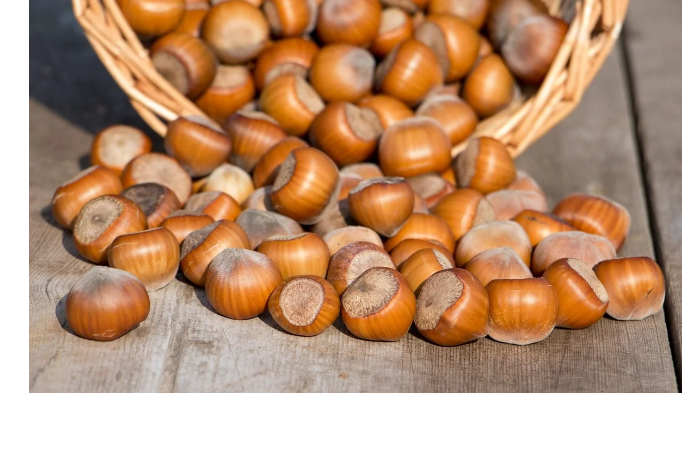 azerbaydzhan-udvoil-dokhody-ot-eksporta-funduka