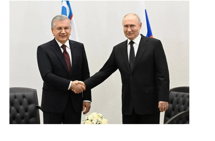 putin-i-mirziyoev-obsudili-proekty-v-atomnoy-energetike-transporte-i-promyshlennosti