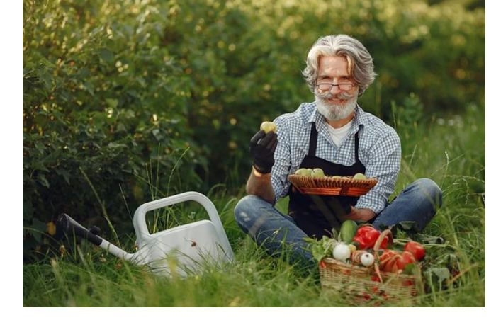 privychnoe-khobbi-okazalos-sposobom-uluchshit-sostoyanie-pozhilykh