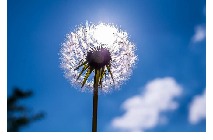 zavtra-v-azerbaydzhane-ozhidaetsya-do-17-tepla