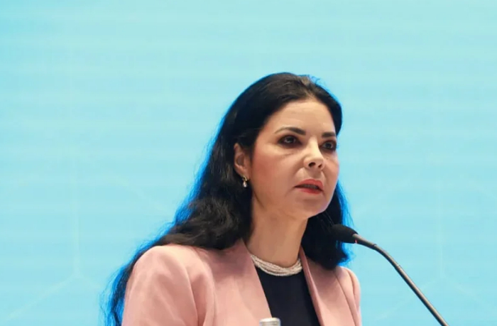 ana-birchall-osudila-ataku-irana-na-azerbaydzhan