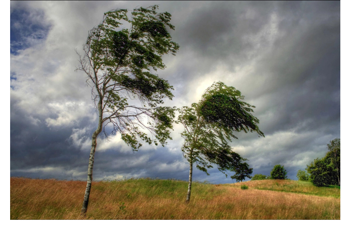 v-azerbaydzhane-ozhidaetsya-silnyy-veter-preduprezhdeniye