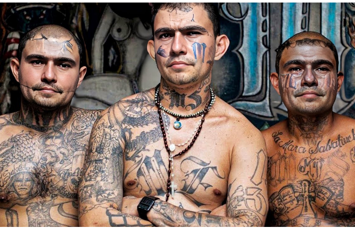 ekvador-kolumbiya-prestupnye-gruppirovki-voyuyut-iz-za-kokaina