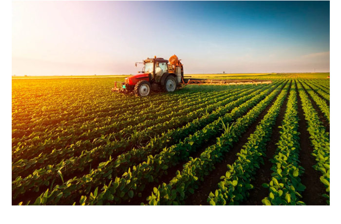 agrarnyy-sektor-azerbaydzhana-vyros-na-11