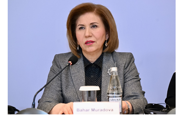 muradova-v-azerbaydzhane-posledovatelno-realizuyutsya-mery-po-razvitiyu-zhenskogo-predprinimatelstva