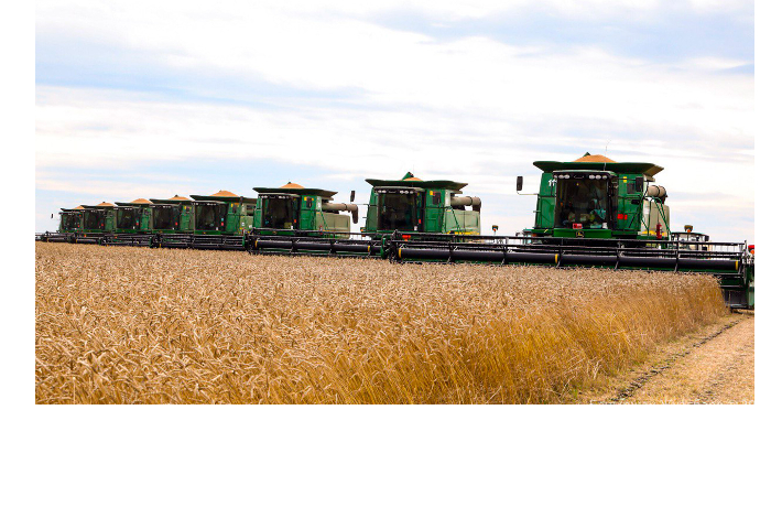 nazvano-chislo-zhenshchin-fermerov-v-azerbaydzhane