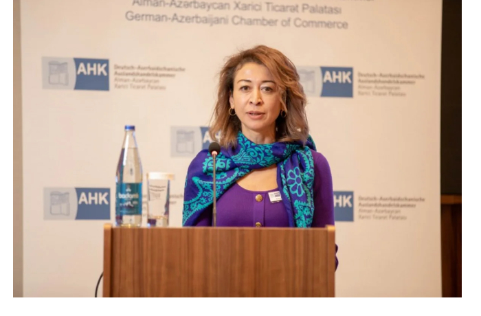 nargiz-vik-finansovye-instituty-frg-gotovy-k-investitsiyam-v-proekty-v-azerbaydzhane