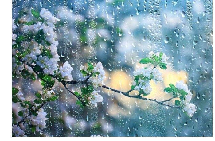 prognoz-pogody-v-azerbaydzhane-na-15042026