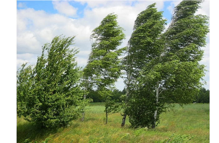 s-zavtrashnego-dnya-v-baku-i-regionakh-ozhidaetsya-usilenie-vetra-preduprezhdeniye