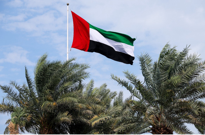 oae-gotovy-primenit-silu-dlya-otkrytiya-ormuzskogo-proliva