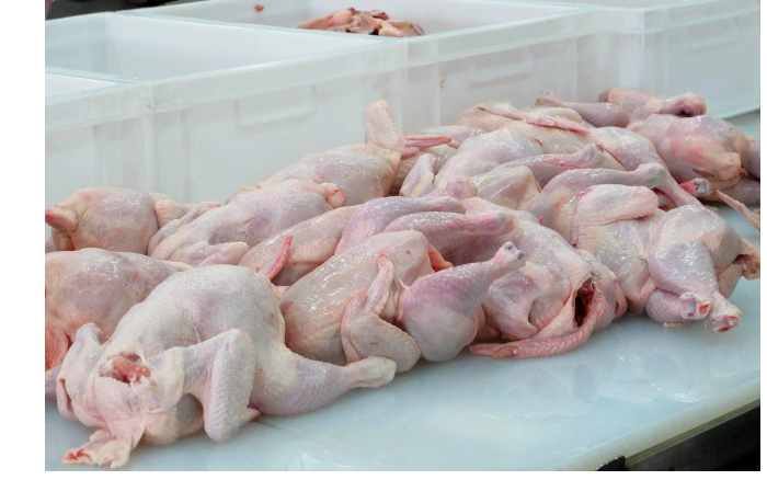 v-kuryatine-iz-ukrainy-vvezennoy-v-azerbaydzhan-obnaruzheny-opasnye-bakterii