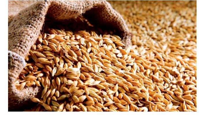 azerbaydzhan-uvelichil-import-pshenitsy-na-29