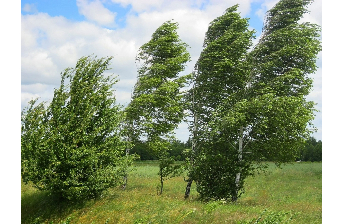 v-baku-i-regionakh-obyavleno-zheltoe-i-oranzhevoe-preduprezhdenie-v-svyazi-s-silnym-vetrom