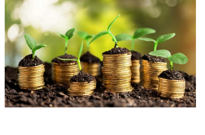 yes-sovmestno-s-partnerami-sozdast-fond-ggbi-dlya-investitsiy-v-zelenye-obligatsii