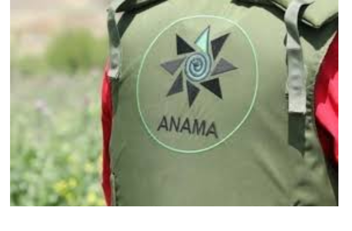 anama-v-osvobozhdennykh-selakh-gazakha-ot-min-ochistilo-256-ga