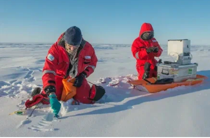 risk-ekologicheskoy-katastrofy-v-arktike