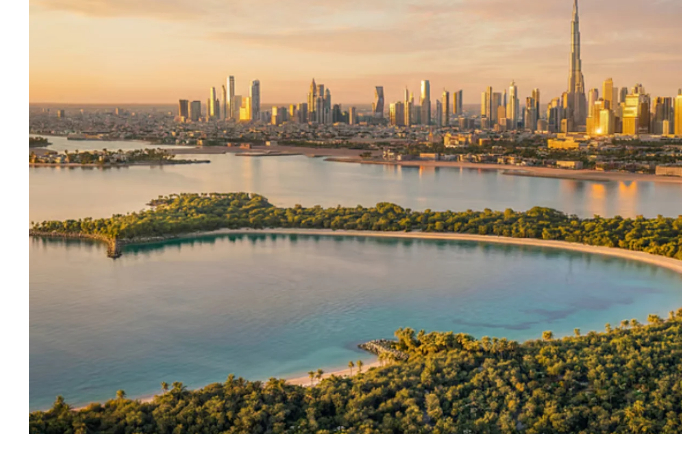 v-dubae-uchastok-na-ostrove-nayya-prodan-za-rekordnye-100-mln-dollarov