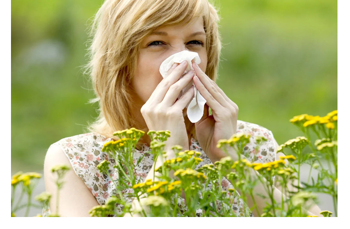 minzdrav-vesennyaya-pyltsa-mozhet-privesti-k-razvitiyu-astmy