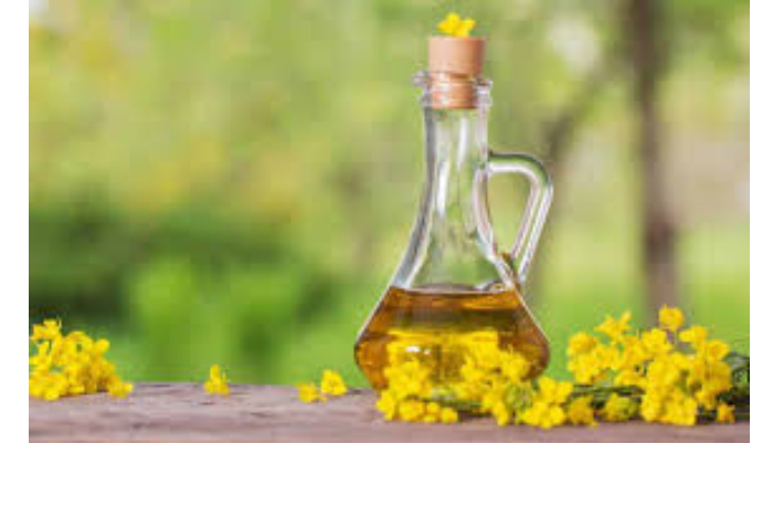 dietolog-raskryla-samoe-poleznoe-maslo-dlya-zharki