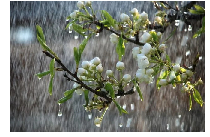 v-nekotorykh-rayonakh-azerbaydzhana-sokhranyayutsya-osadki