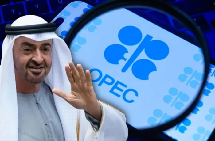 sereznyy-udar-po-stranam-persidskogo-zaliva-oae-vykhodyat-iz-opek