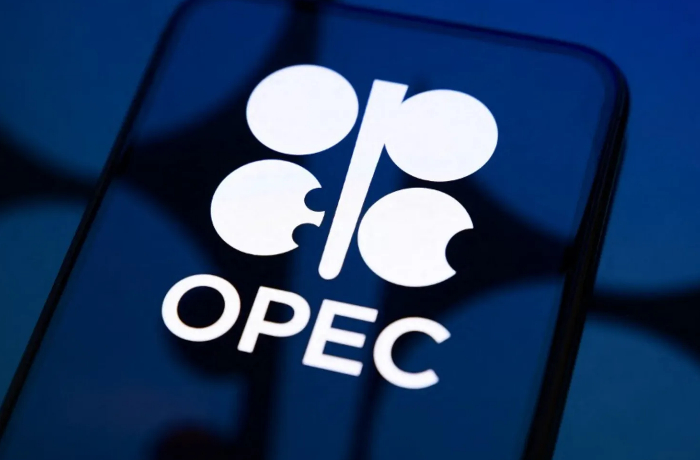 ormuzskiy-krizis-raskalyvaet-opek