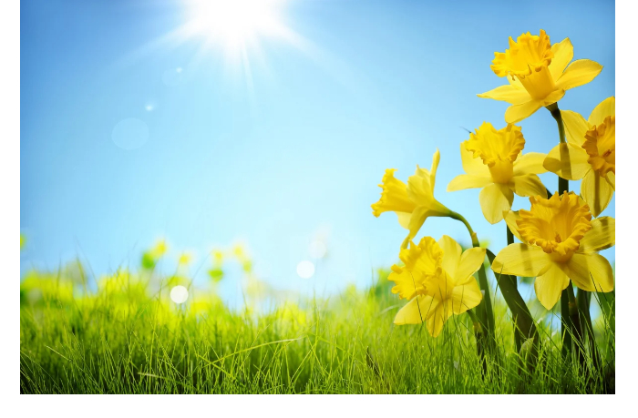 v-azerbaydzhane-1-maya-ozhidaetsya-do-25-gradusov-tepla