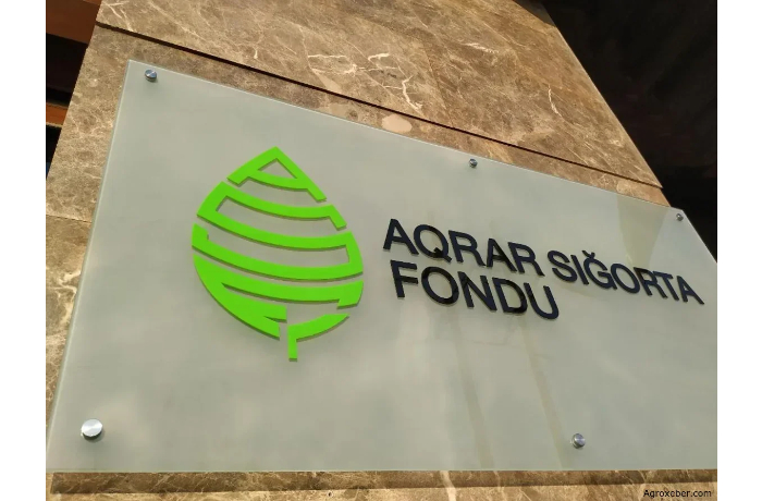 v-fond-agrostrakhovaniya-postupilo-okolo-300-obrashcheniy-v-svyazi-s-dozhdyami