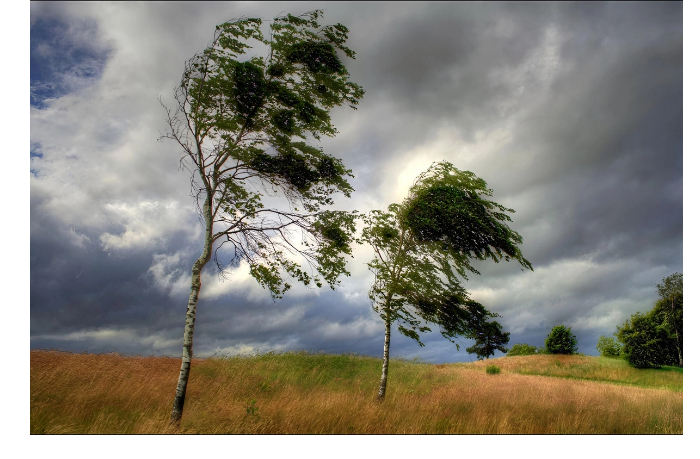 zavtra-ozhidaetsya-silnyy-veter-preduprezhdeniye