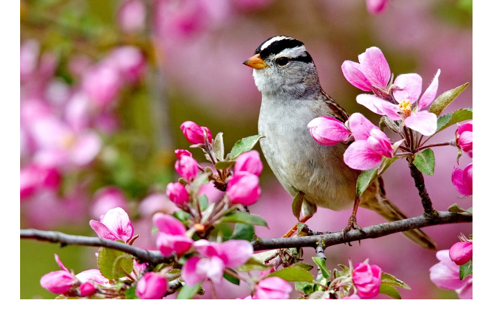 prognoz-pogody-v-azerbaydzhane-na-9-aprelya