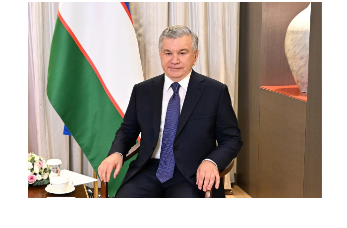 mirziyoev-prizval-pridat-sistemnyy-kharakter-sotrudnichestvu-tyurkskikh-gosudarstv