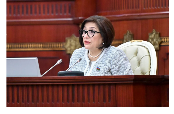 sakhiba-gafarova-otnosheniya-azerbaydzhana-i-belarusi-razvivayutsya-vsestoronne