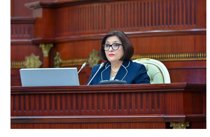 sakhiba-gafarova-vystupila-za-bolee-aktivnuyu-professionalnuyu-realizatsiyu-zhenshchin