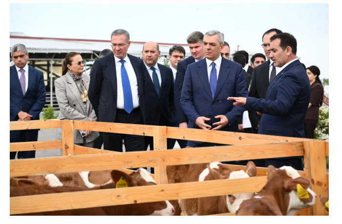 predstaviteli-administratsii-prezidenta-oznakomilis-s-zhivotnovodcheskim-kompleksom-v-khodzhaly