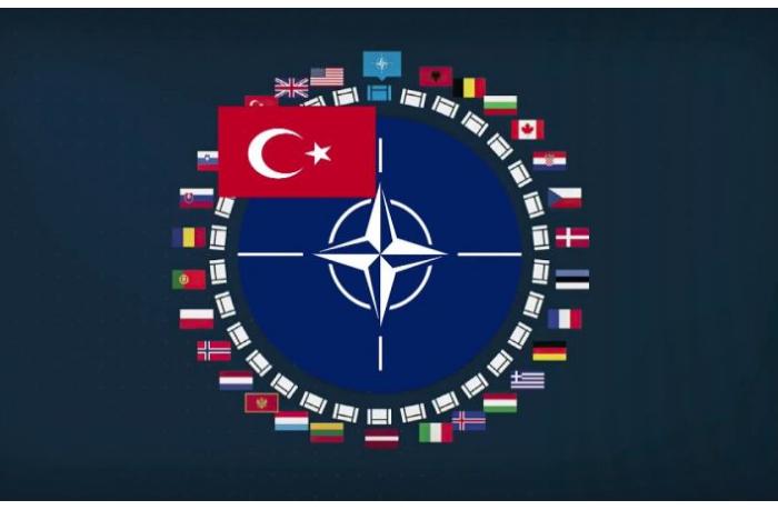 rol-turtsii-v-nato-neuklonno-rastet