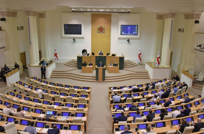 vesennyaya-sessiya-parlamenta-gruzii-zavershilas-drakoy