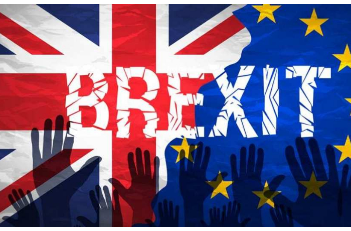 immigratsiya-brexit-i-otstavka-starmera