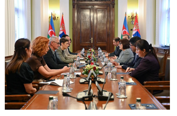 azerbaydzhan-i-serbii-obsudili-mezhparlamentskoe-sotrudnichestvo