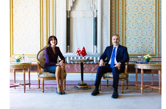 bochorishvili-i-fidan-obsudili-razvitie-srednego-koridora