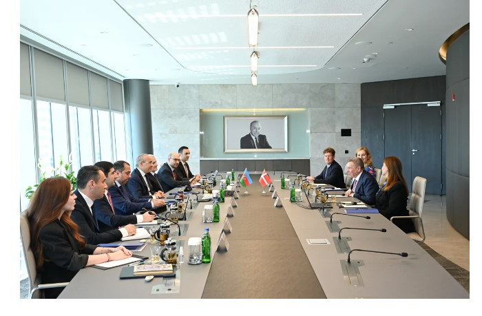 azerbaydzhan-i-daniya-obsudili-vozmozhnosti-partnerstva-v-zdravookhranenii