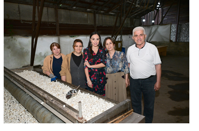 leyla-alieva-oznakomilas-s-deyatelnostyu-oao-azeripek-foto