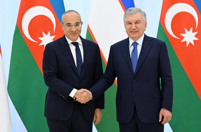 mikail-dzhabbarov-i-shavkat-mirziyoev-obsudili-vzaimnye-torgovye-i-investitsionnye-initsiativy