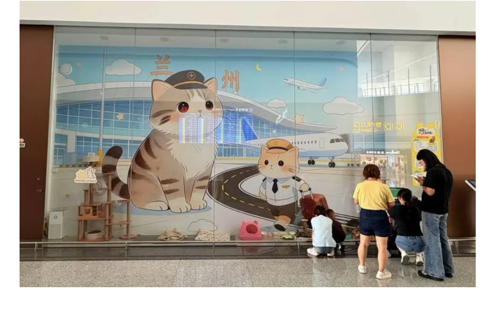 aeroport-v-kitae-stal-populyarnym-iz-za-koshek-kotorykh-priyutil-foto