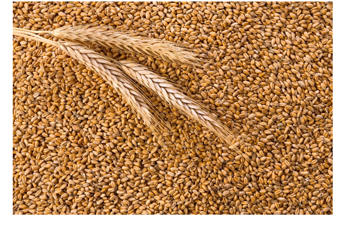 azerbaydzhan-sokratil-import-pshenitsy-pochti-na-3