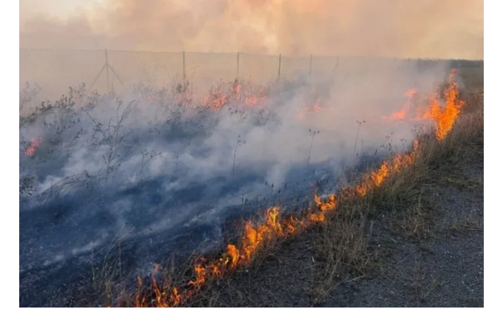 v-agdame-fizuli-i-dzhebraile-na-otkrytykh-uchastkakh-nachalos-vozgoranie