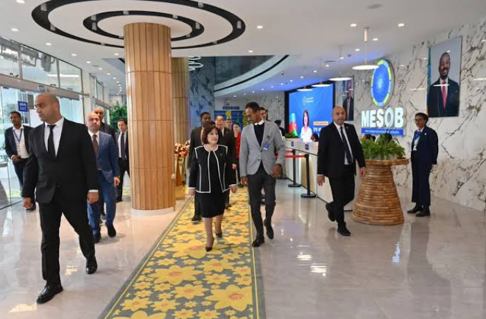 delegatsiya-milli-medzhlisa-posetila-gosudarstvennye-i-istoricheskie-obekty-v-efiopii